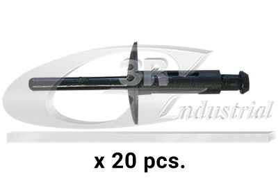 3RG Kniedė