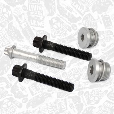 CHIT LANT DE DISTRIBUTIE ET ENGINETEAM RS0030 4