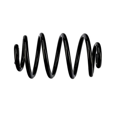ARC SPIRAL EIBACH R10050 19