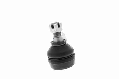 CAP DE BARA ACKOJA A700522 8