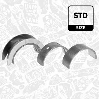 SET RULEMT ARBORE COTIT ET ENGINETEAM LH003500 1