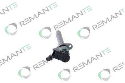 INJECTOR REMANTE 002003000081R 1