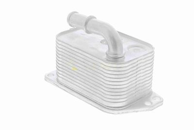 ÖLKüHLER MOTORöL VEMO V42600005 3