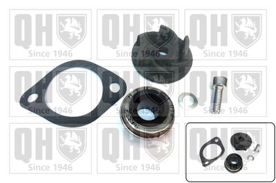 Водяной насос, охлаждение двигателя QUINTON HAZELL QCP3610 для FIAT CINQUECENTO