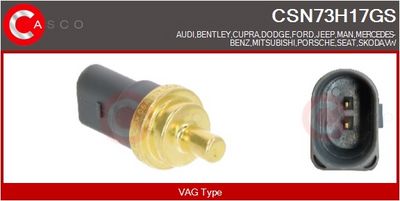 SENZOR TEMPERATURA LICHID DE RACIRE