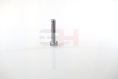 SURUB CAPAT DE AX GH GH392360 25