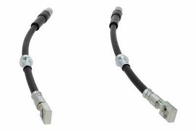 FURTUN FRANA VAICO V404110 5