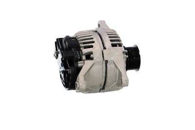 GENERATOR / ALTERNATOR REMANTE 011003000638R 35