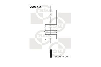 BGA V096715 Клапан выпускной  для BMW X5 (Бмв X5)