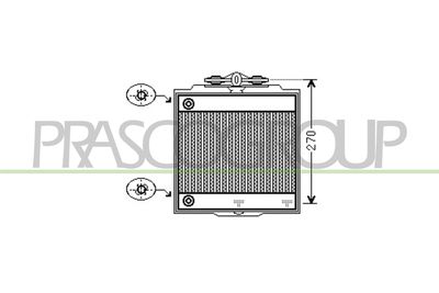 RADIATOR RACIRE MOTOR PRASCO BM101R005