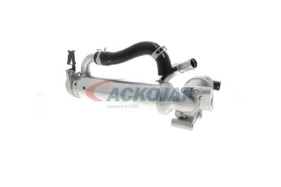 MODUL-EGR ACKOJA A52630018 40
