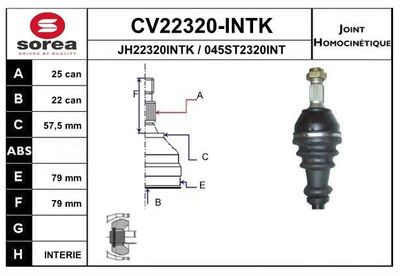 SET ARTICULATIE PLANETARA EAI CV22320INTK