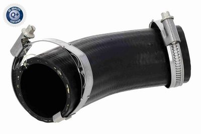 FURTUN EAR SUPRAALIMENTARE