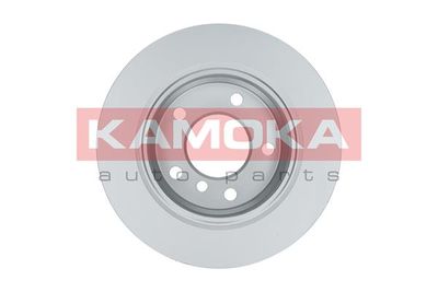 Brake Disc 1031662