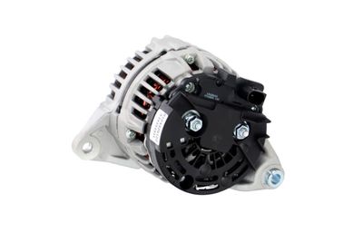 GENERATOR / ALTERNATOR REMANTE 011003000043R 25
