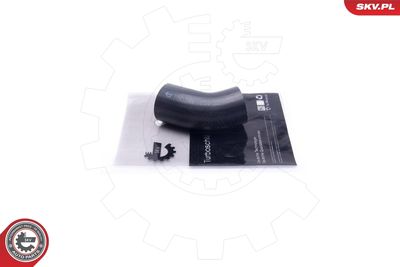 FURTUN EAR SUPRAALIMENTARE