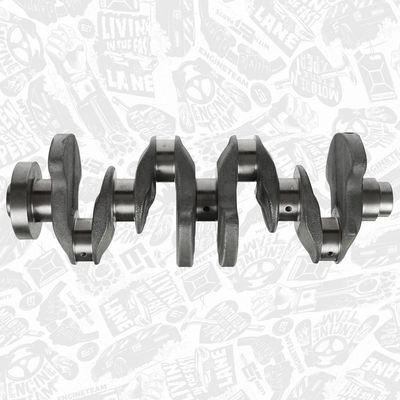 ARBORE COTIT ET ENGINETEAM HK0219 5