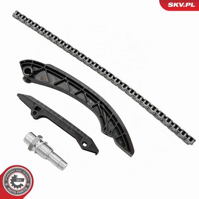 CHIT LANT DE DISTRIBUTIE ESEN SKV 21SKV136 1