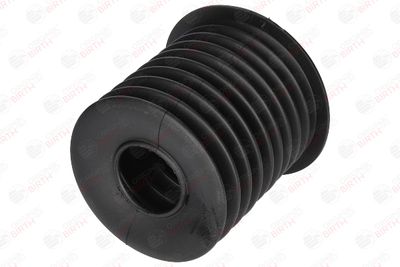 CAPAC PROTECTIE/BURDUF AMORTIZOR BIRTH 5326 11