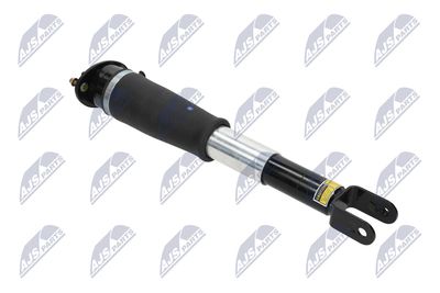 AMORTIZOR NTY ACH006 10