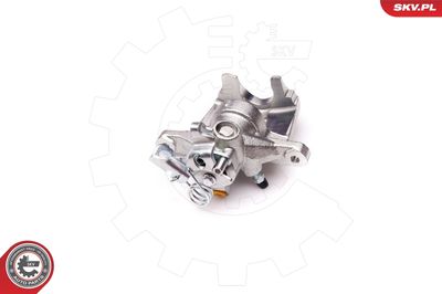 Brake Caliper 34SKV323