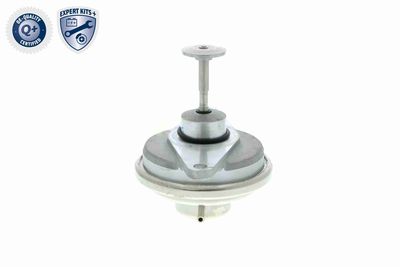 SUPAPA EGR VEMO V406300241 8