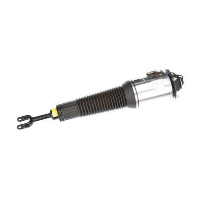 LUFTFEDERBEIN Arnott AS2561 63