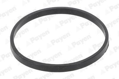 DICHTUNG ANSAUGKRüMMERGEHäUSE