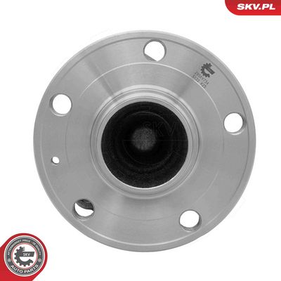 SET RULMENT ROATA ESEN SKV 29SKV734 2