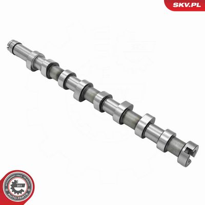 AX CU CAME ESEN SKV 80SKV001 1