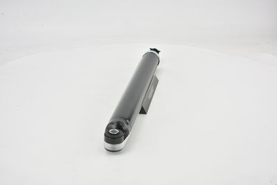 AMORTIZOR FEBEST 21650805R 41