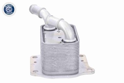 RADIATOR ULEI ULEI MOTOR ACKOJA A52600024 6