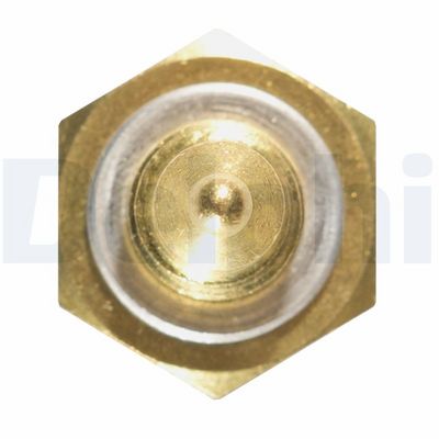 SENZOR TEMPERATURA LICHID DE RACIRE DELPHI TS10270 2