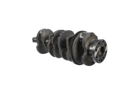 ARBORE COTIT ET ENGINETEAM HK0231 20