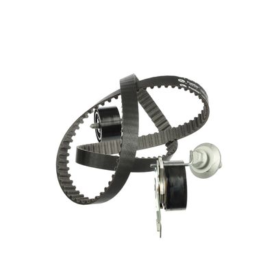 SET CUREA DE DISTRIBUTIE ET ENGINETEAM RM0024 26