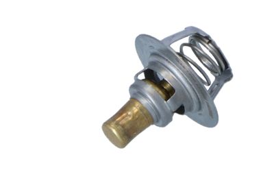 TERMOSTAT LICHID RACIRE NRF 725141 21