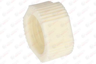 BUCSA ARBORE DE DIRECTIE BIRTH 4916 3