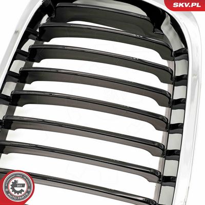 GRILA RADIATOR ESEN SKV 66SKV064 6