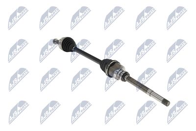 PLANETARA NTY NPWPE017 30