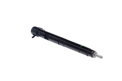 INJECTOR REMANTE 002003000134R 48