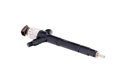 INJECTOR REMANTE 002003002041R 46