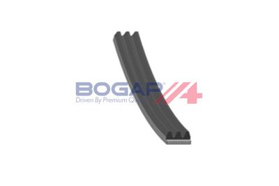 CUREA TRANSMISIE CU CANELURI BOGAP R1316100