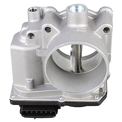 Throttle body