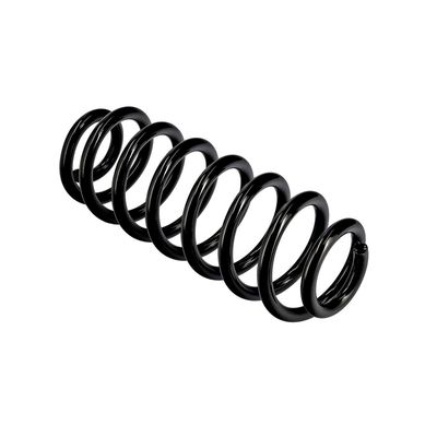 ARC SPIRAL EIBACH R10701 10