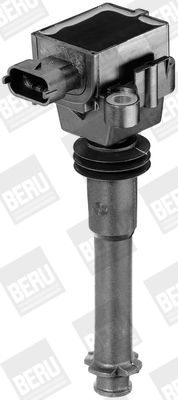 BorgWarner (BERU) Zündspule