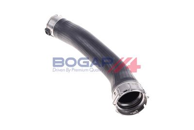 FURTUN EAR SUPRAALIMENTARE BOGAP B1711134 1