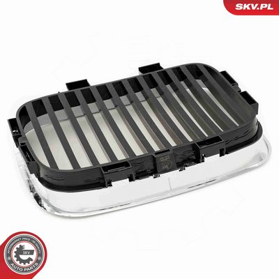 GRILA RADIATOR ESEN SKV 66SKV044 8