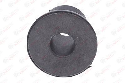 BUCSA ARBORE DE DIRECTIE BIRTH 40641 7