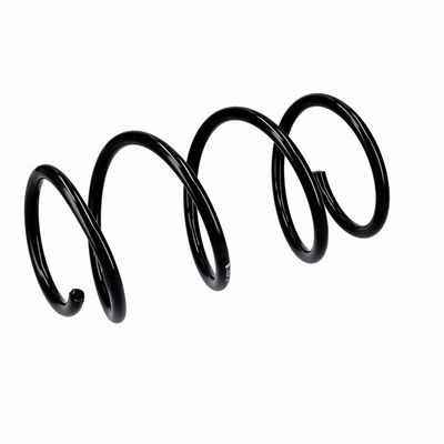 ARC SPIRAL EIBACH R10355 5