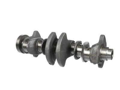 ARBORE COTIT ET ENGINETEAM HK0219 8